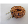 DTMSS-y.JPG