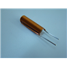DW-6_10_10-V.JPG